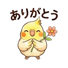 Cute Watercolor Cockatiel