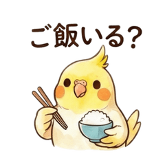 Cute Cockatiel Family Life