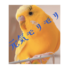 lemonosuke_20260128231744