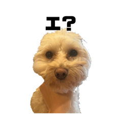 Nchan_20260129004618