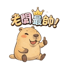 Cindy寶貝辦公日常