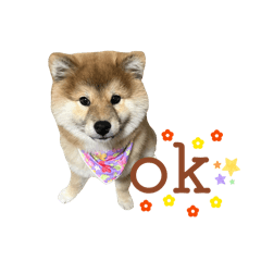 咕嚕小姐的一天