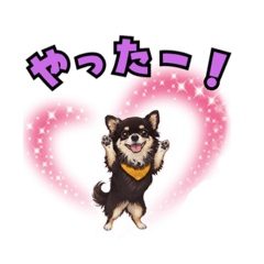 YUTA39_20260128153943