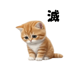 Void & Cute! Fluffy "Metsu" Cat