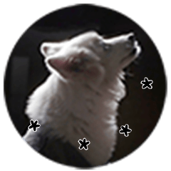 富足之家寵物版