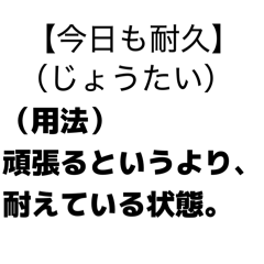 doanobu_nobu_20260128134039