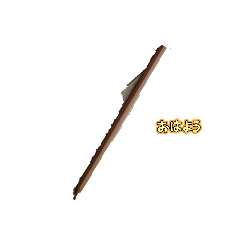 soushirou_20260126192432