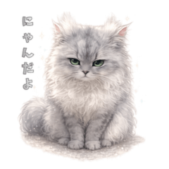 A greeting from a cat