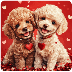 Toy Poodle Full of Love & Hearts