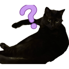 Dreamy michu_20260128162744