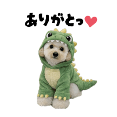 yuiko_20260128170509