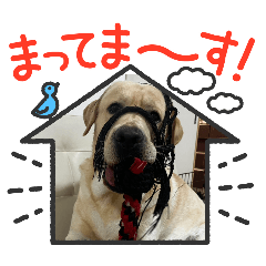 mirai_20260128171925