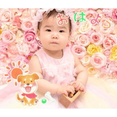 KOTA_202601281728111