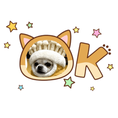 rururu_20260128175900