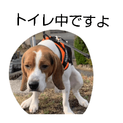 Yuusei_20260128142356