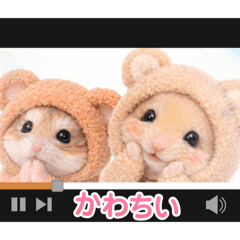 hiro suke_20260128142435