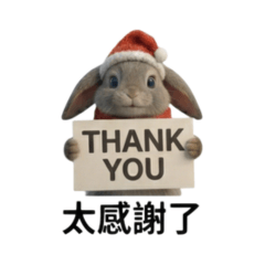 小冬兔的溫暖陪伴