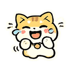 Gato Tabby Redondinho Humor