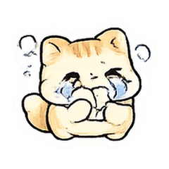 Taro gato toast clima aconchego