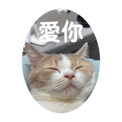 沐沐伴伴可愛貼圖