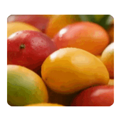 マンゴーの動的スタンプ.1