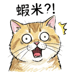 Lord Cat: I AM the Rules.