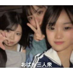 meisa_20260127132523