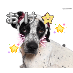 misora_20260128164542