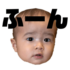 SHIHO_20260128165124