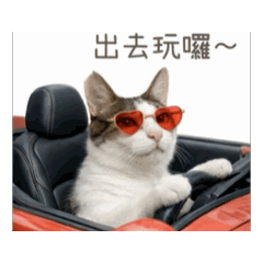 動物家庭大集合