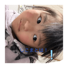 yuzuki_20260128191258