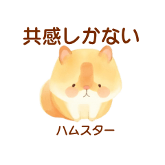 A hamster I totally relate to