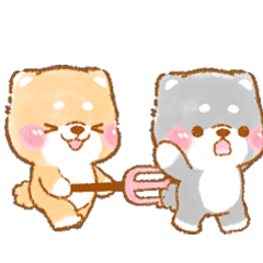 ▶動く❤️カップルいやしばいぬ❤️8/柴犬