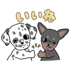 フェイティノとの日常。