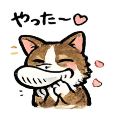 LEOPIN_20260128194407