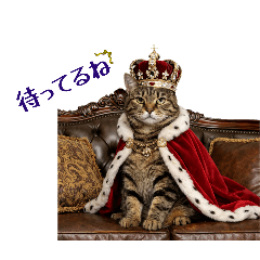 Tsubakuro_20260128190507