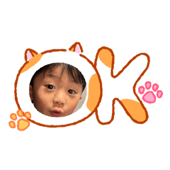 chipi_20260128200130