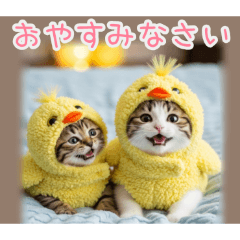 PAKAMOGOLY_20260128194848