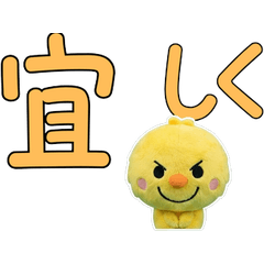 Moving Polite Chick  12th