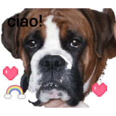 Nashino_20260128175409