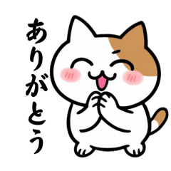 Nyanta_20260128182623