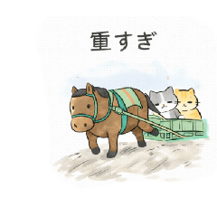 gomacomu_20260127141130