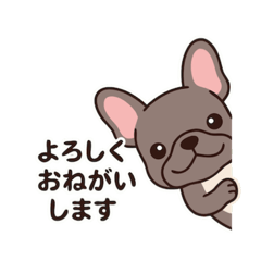 フレンチブルドッグ（犬）の挨拶