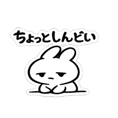 pompom_20260128174113