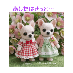 Rarami_20260128212218