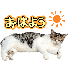 monyakichi_20260128212158