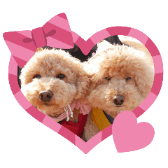 BUNTA._20260128212300