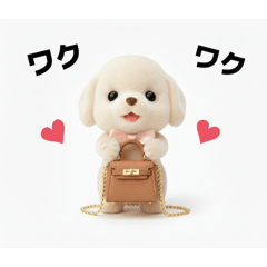 momo_20260129081633