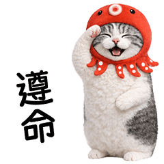 Cute cat Octopus head [TW]
