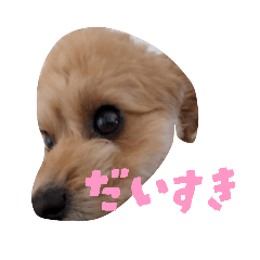 coconut_20260128193646